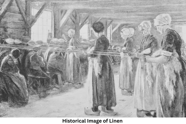 Historical Image of Linen Yarn
