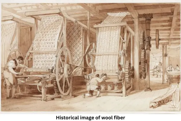 Historical Image of wool fiber