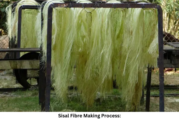 Making Process of Sisal Fibre