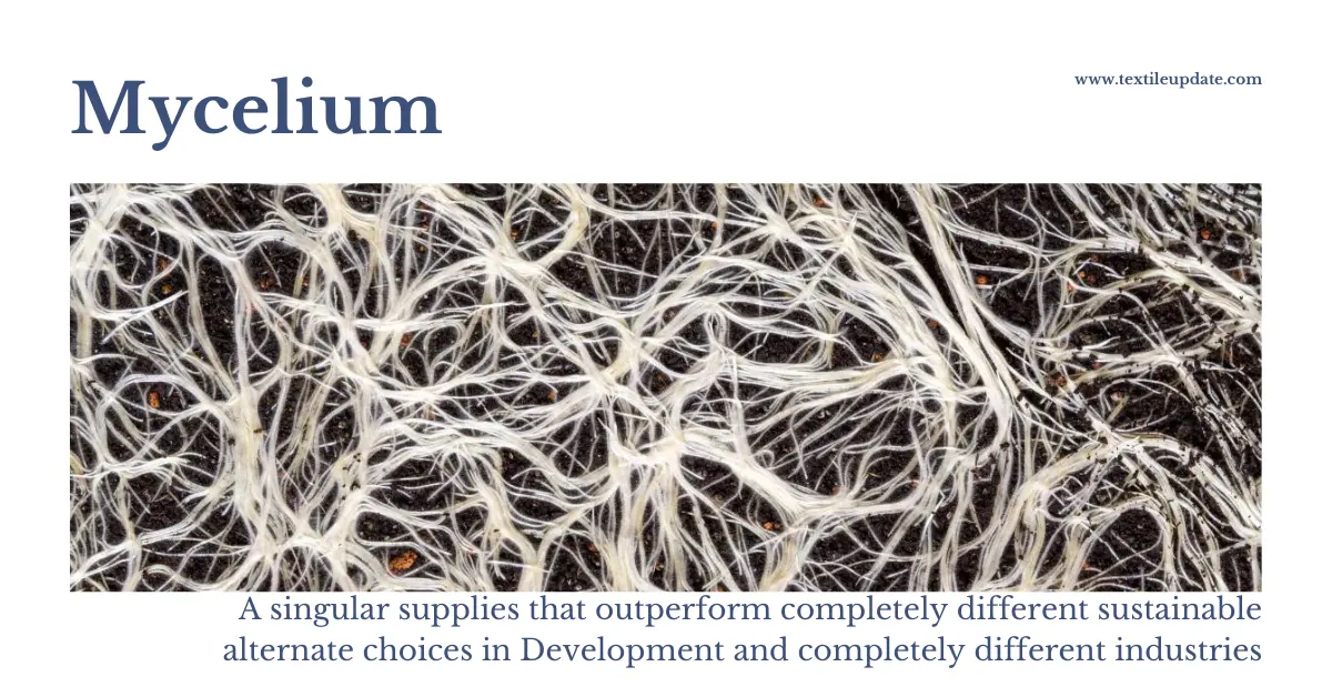 Mycelium A singular supplies