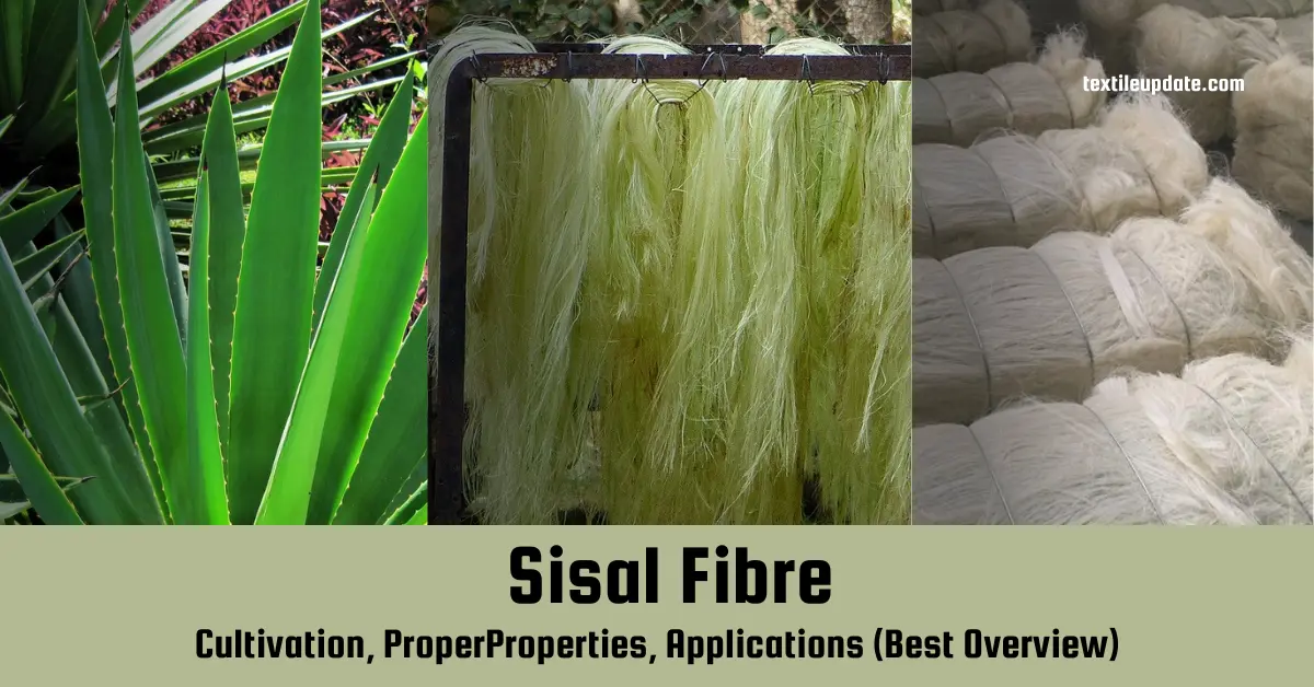 Sisal Fibre Cultivation, ProperProperties, Applications (Best Overview)