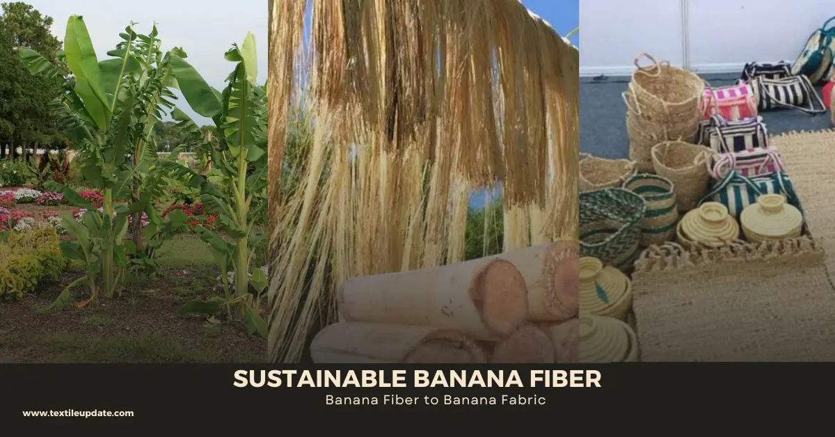 Sustainable Banana Fiber: Banana Fiber to Banana Fabric - Textile Update