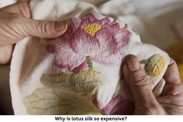 lotus silk so expensive