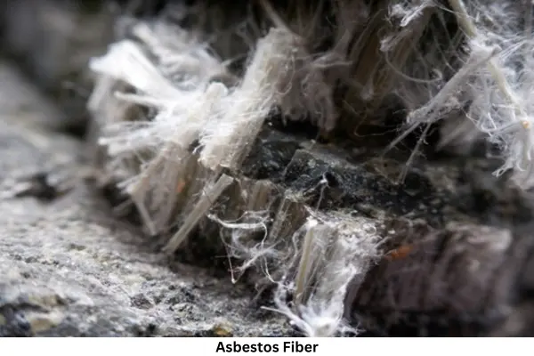 Asbestos Fiber