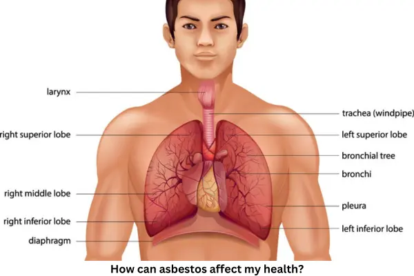 How can asbestos affect my health